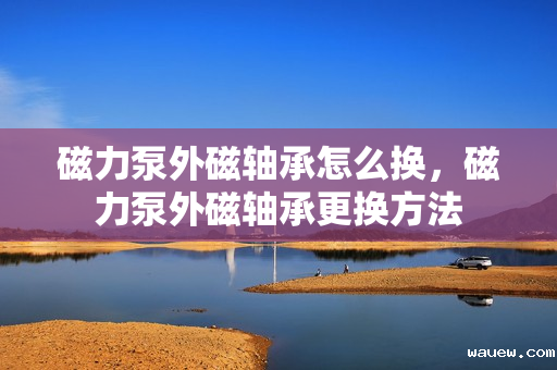 磁力泵外磁轴承怎么换，磁力泵外磁轴承更换方法