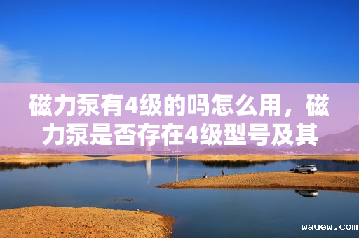 磁力泵有4级的吗怎么用，磁力泵是否存在4级型号及其使用方法解析