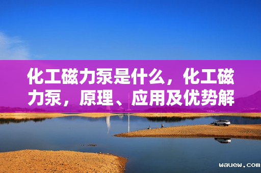 化工磁力泵是什么，化工磁力泵，原理、应用及优势解析