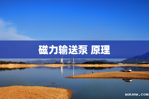 磁力输送泵 原理