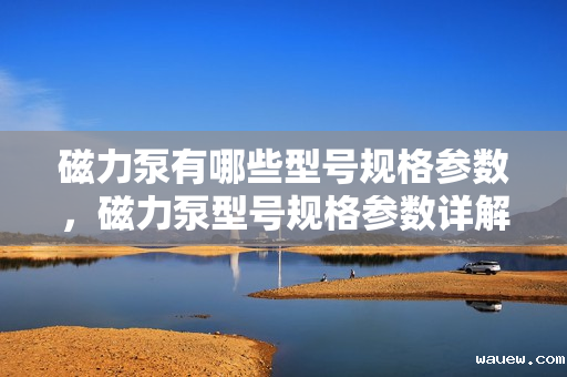 磁力泵有哪些型号规格参数，磁力泵型号规格参数详解