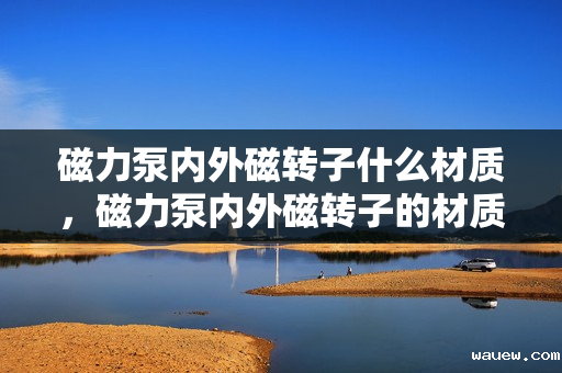 磁力泵内外磁转子什么材质，磁力泵内外磁转子的材质解析