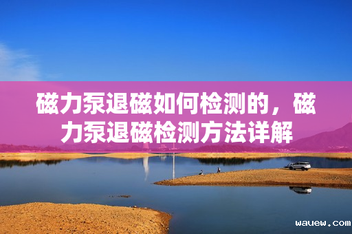 磁力泵退磁如何检测的，磁力泵退磁检测方法详解