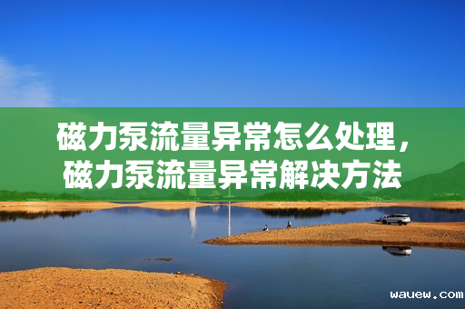 磁力泵流量异常怎么处理，磁力泵流量异常解决方法