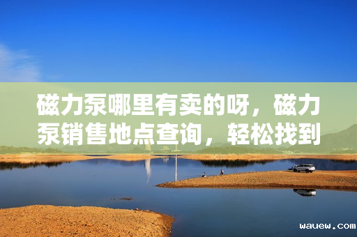 磁力泵哪里有卖的呀，磁力泵销售地点查询，轻松找到购买渠道