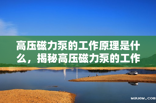 高压磁力泵的工作原理是什么，揭秘高压磁力泵的工作原理