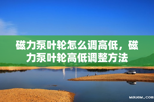 磁力泵叶轮怎么调高低，磁力泵叶轮高低调整方法