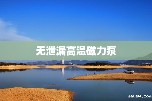 无泄漏高温磁力泵