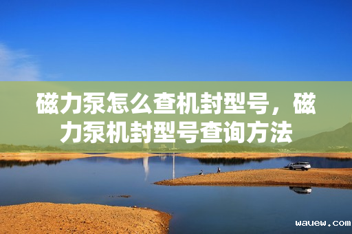 磁力泵怎么查机封型号，磁力泵机封型号查询方法