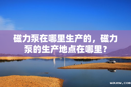 磁力泵在哪里生产的，磁力泵的生产地点在哪里？