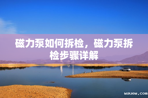 磁力泵如何拆检，磁力泵拆检步骤详解