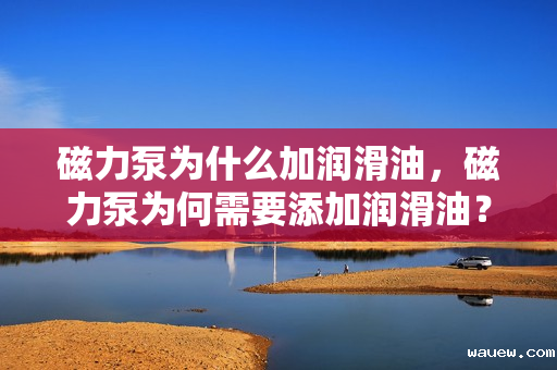 磁力泵为什么加润滑油，磁力泵为何需要添加润滑油？