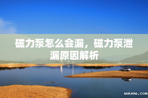 磁力泵怎么会漏，磁力泵泄漏原因解析