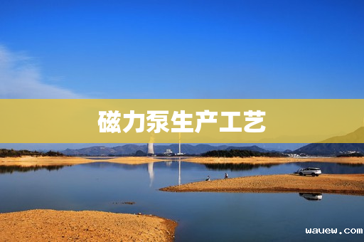 磁力泵生产工艺