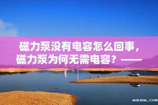 磁力泵没有电容怎么回事，磁力泵为何无需电容？——解析磁力泵的工作原理与特点
