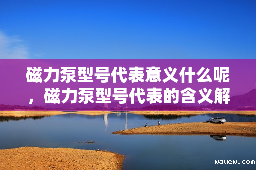 磁力泵型号代表意义什么呢，磁力泵型号代表的含义解析