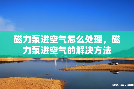 磁力泵进空气怎么处理，磁力泵进空气的解决方法