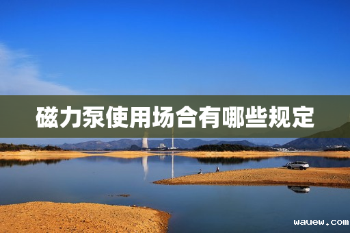 磁力泵使用场合有哪些规定