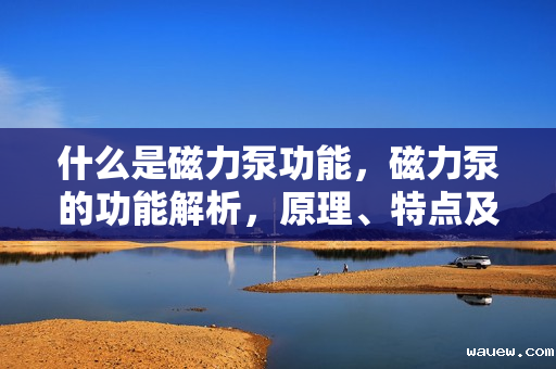 什么是磁力泵功能，磁力泵的功能解析，原理、特点及应用领域