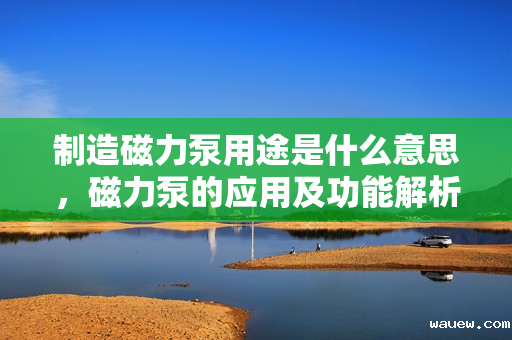 制造磁力泵用途是什么意思，磁力泵的应用及功能解析