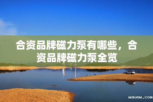 合资品牌磁力泵有哪些，合资品牌磁力泵全览