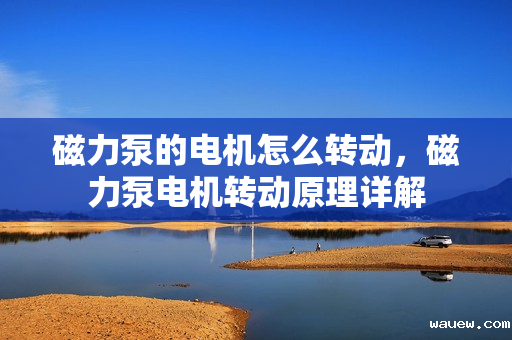 磁力泵的电机怎么转动，磁力泵电机转动原理详解