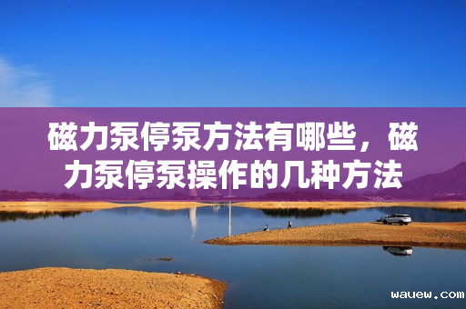 磁力泵停泵方法有哪些，磁力泵停泵操作的几种方法