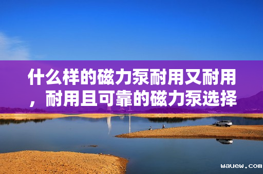 什么样的磁力泵耐用又耐用，耐用且可靠的磁力泵选择指南