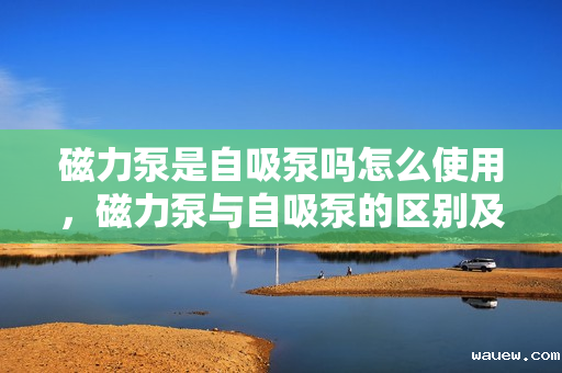 磁力泵是自吸泵吗怎么使用，磁力泵与自吸泵的区别及使用方法解析