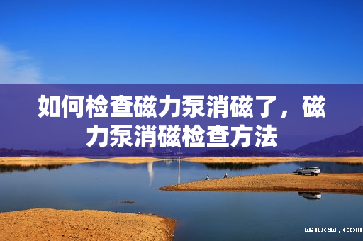 如何检查磁力泵消磁了，磁力泵消磁检查方法