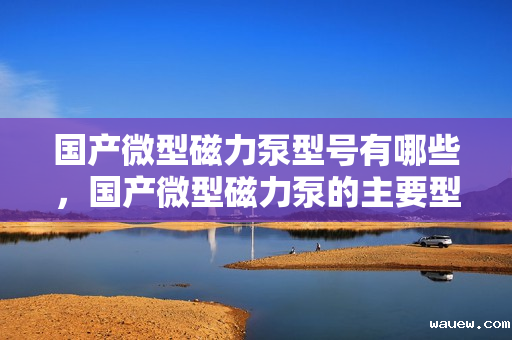 国产微型磁力泵型号有哪些，国产微型磁力泵的主要型号概览