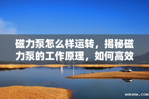 磁力泵怎么样运转，揭秘磁力泵的工作原理，如何高效稳定运转