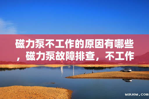 磁力泵不工作的原因有哪些，磁力泵故障排查，不工作的原因解析