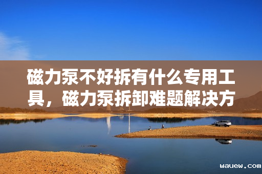 磁力泵不好拆有什么专用工具，磁力泵拆卸难题解决方案，专用工具助力轻松拆解