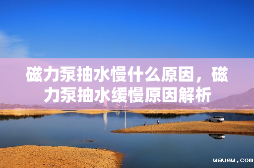 磁力泵抽水慢什么原因，磁力泵抽水缓慢原因解析