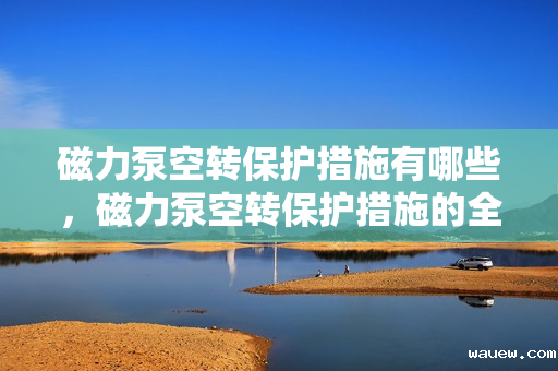 磁力泵空转保护措施有哪些，磁力泵空转保护措施的全面解析