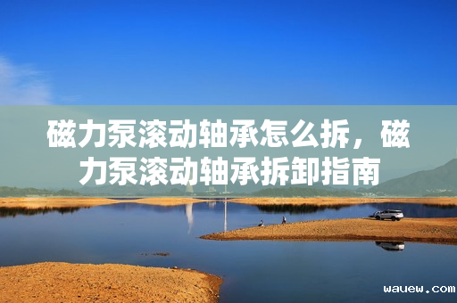 磁力泵滚动轴承怎么拆，磁力泵滚动轴承拆卸指南