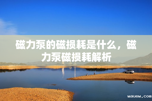 磁力泵的磁损耗是什么，磁力泵磁损耗解析