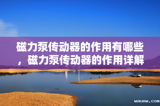 磁力泵传动器的作用有哪些，磁力泵传动器的作用详解