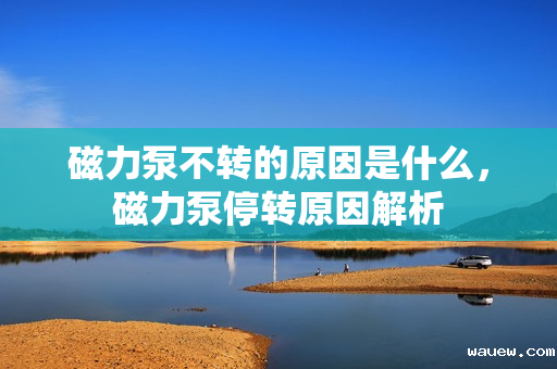 磁力泵不转的原因是什么，磁力泵停转原因解析