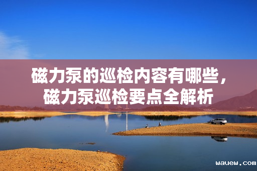 磁力泵的巡检内容有哪些，磁力泵巡检要点全解析