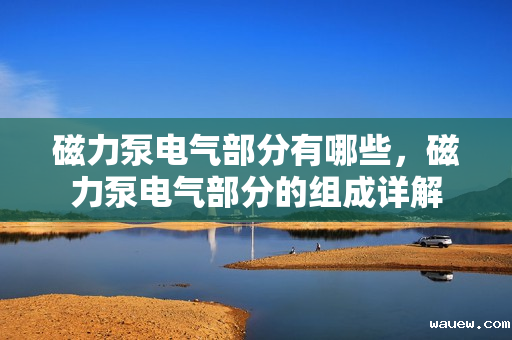 磁力泵电气部分有哪些，磁力泵电气部分的组成详解