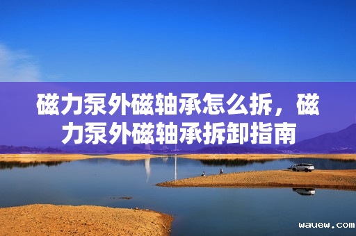 磁力泵外磁轴承怎么拆，磁力泵外磁轴承拆卸指南