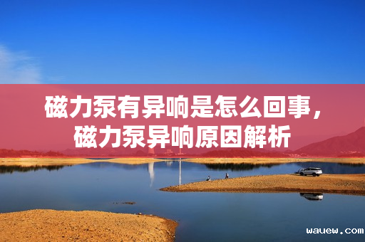 磁力泵有异响是怎么回事，磁力泵异响原因解析