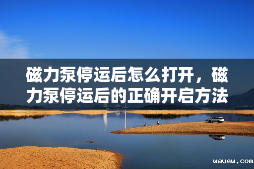 磁力泵停运后怎么打开，磁力泵停运后的正确开启方法
