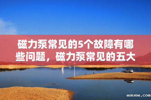 磁力泵常见的5个故障有哪些问题，磁力泵常见的五大故障解析