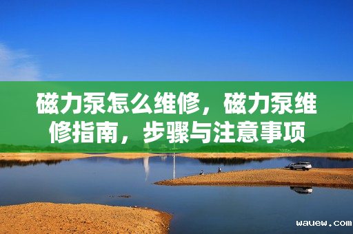 磁力泵怎么维修，磁力泵维修指南，步骤与注意事项