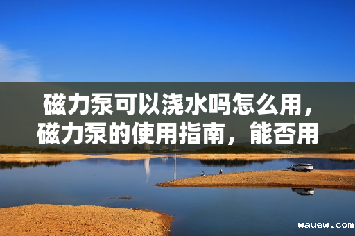 磁力泵可以浇水吗怎么用，磁力泵的使用指南，能否用于浇水及操作方法