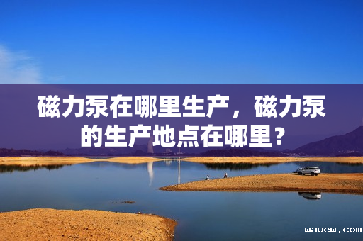 磁力泵在哪里生产，磁力泵的生产地点在哪里？