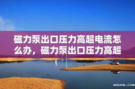 磁力泵出口压力高超电流怎么办，磁力泵出口压力高超电流解决方案